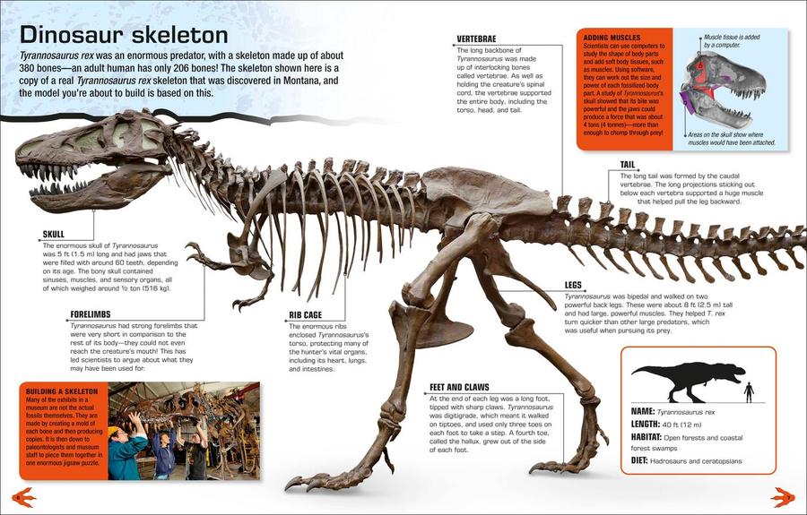 Make Your Own T. Rex US - Hardback