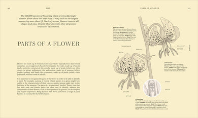 Wildflowers US - Hardback