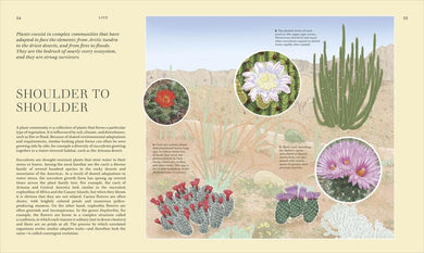 Wildflowers US - Hardback