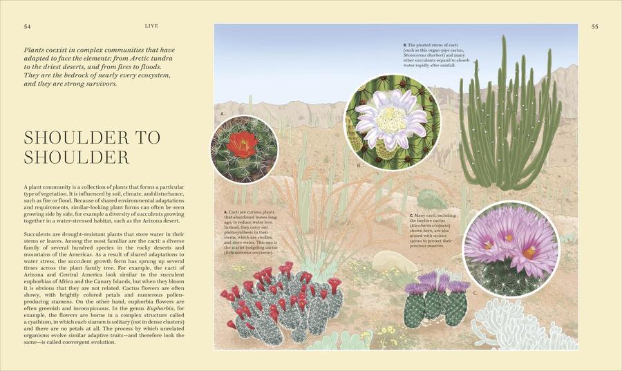 Wildflowers US - Hardback