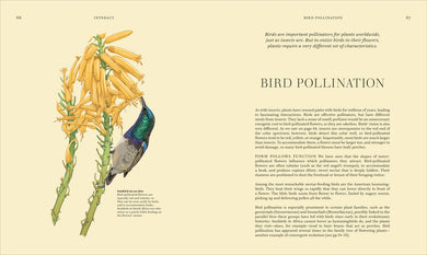 Wildflowers US - Hardback