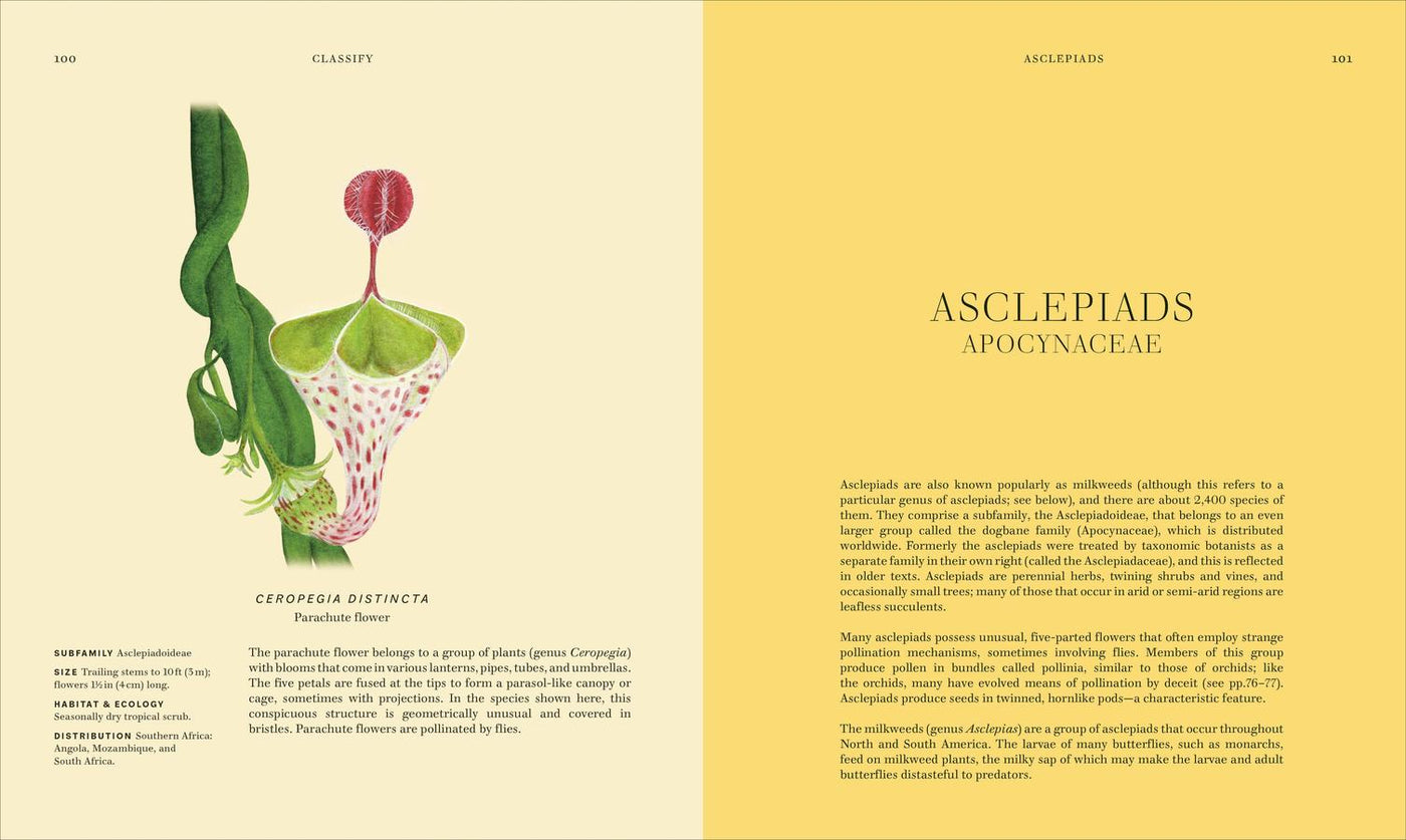 Wildflowers US - Hardback