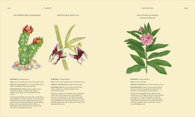 Wildflowers US - Hardback