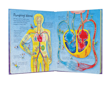 See Inside Your Body GB - Board book