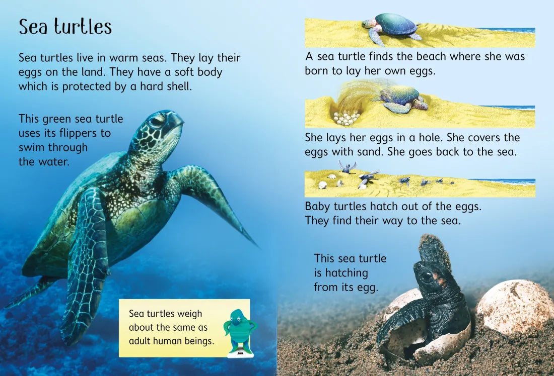 Under the Sea GB - Hardback