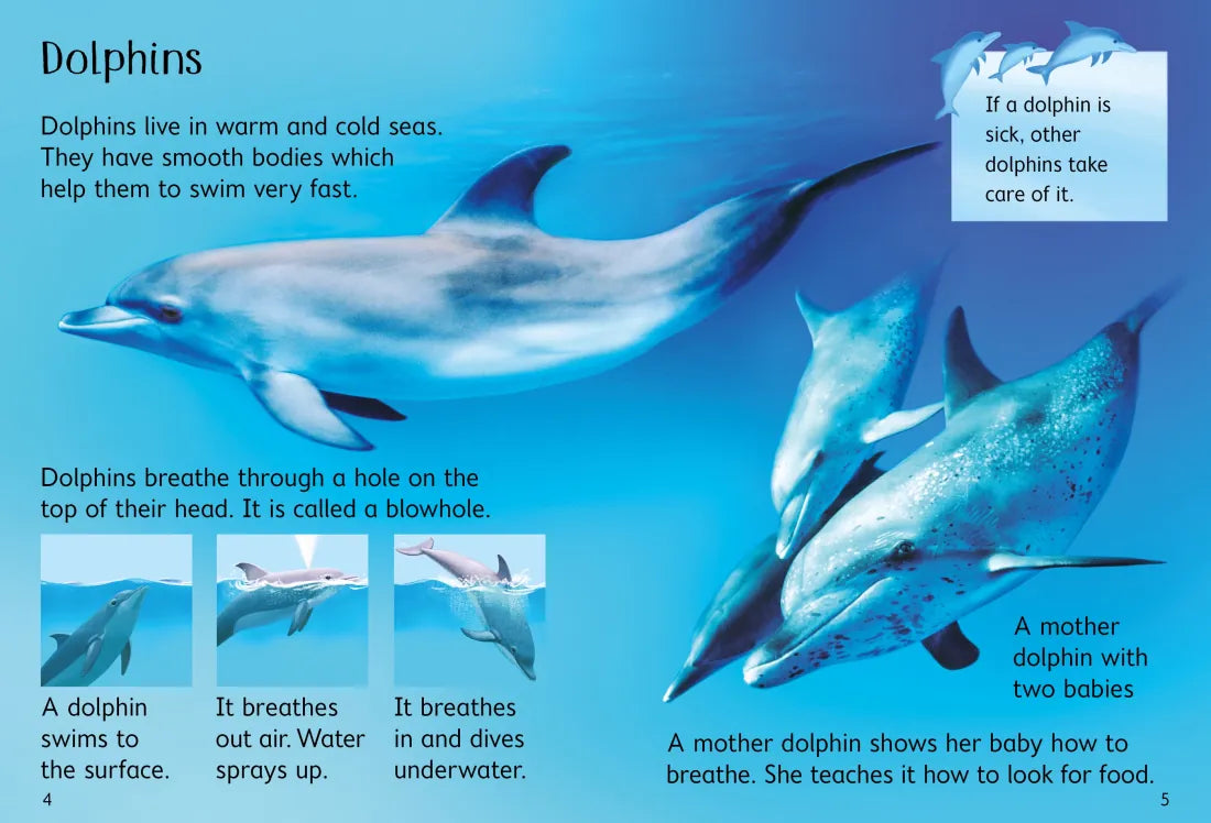 Under the Sea GB - Hardback