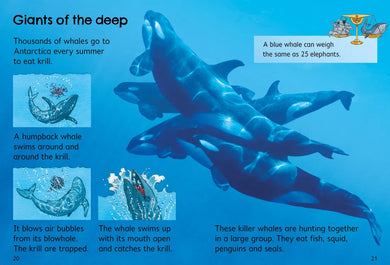 Antarctica GB - Hardback