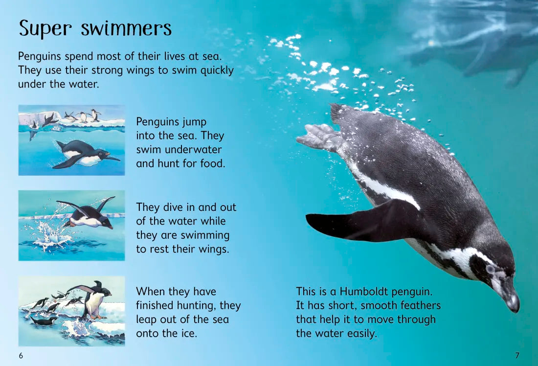 Penguins GB - Hardback