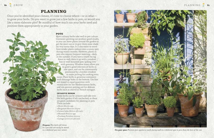 The Cook's Herb Garden US - Hardback