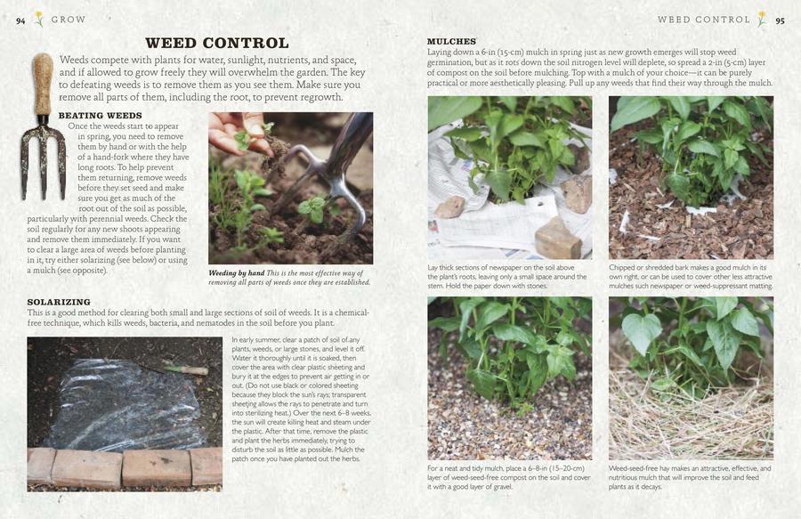 The Cook's Herb Garden US - Hardback