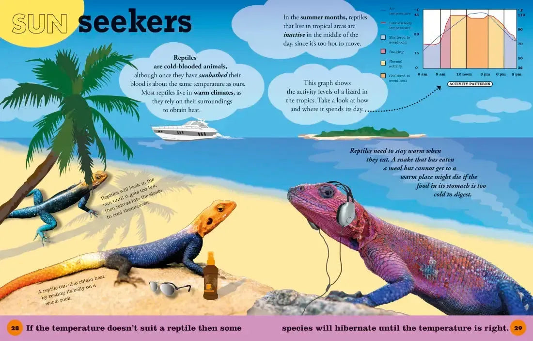 Everything You Need to Know About Frogs and Other Slippery Creatures US - Hardback