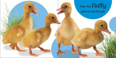Touch and Feel Baby Animals US - Board book (9780756689919)