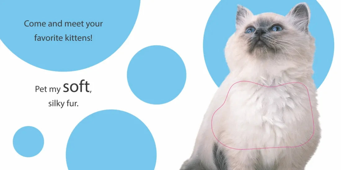 Touch and Feel: Kitten US - Board book