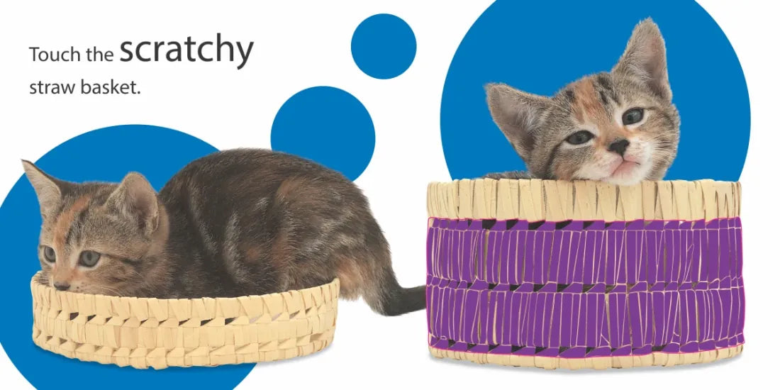 Touch and Feel: Kitten US - Board book