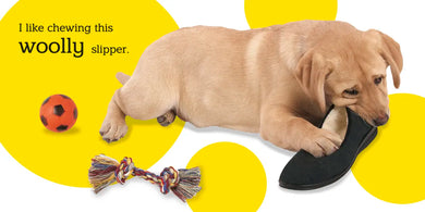 Touch and Feel: Puppy US - Board book