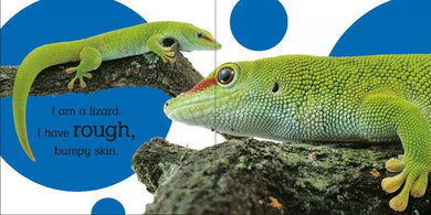 Touch and Feel: Wild Animals US - Board book