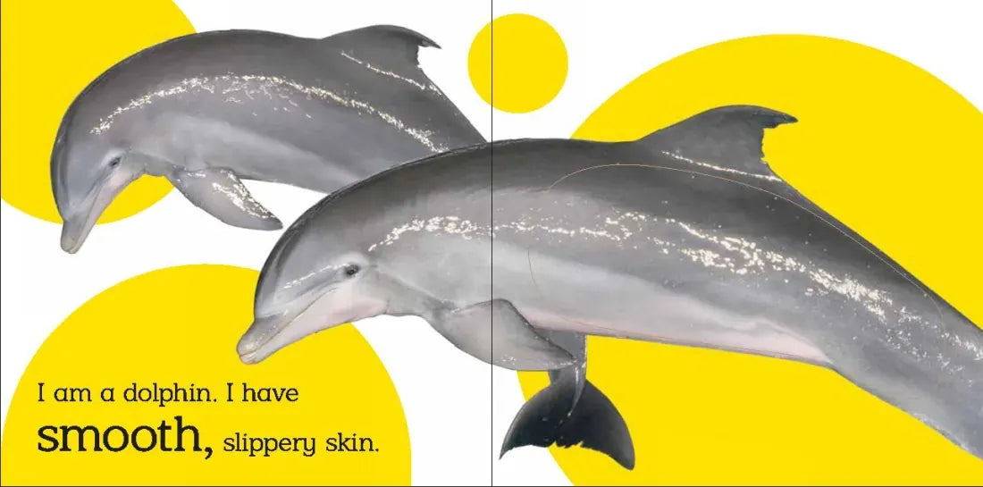 Touch and Feel: Wild Animals US - Board book