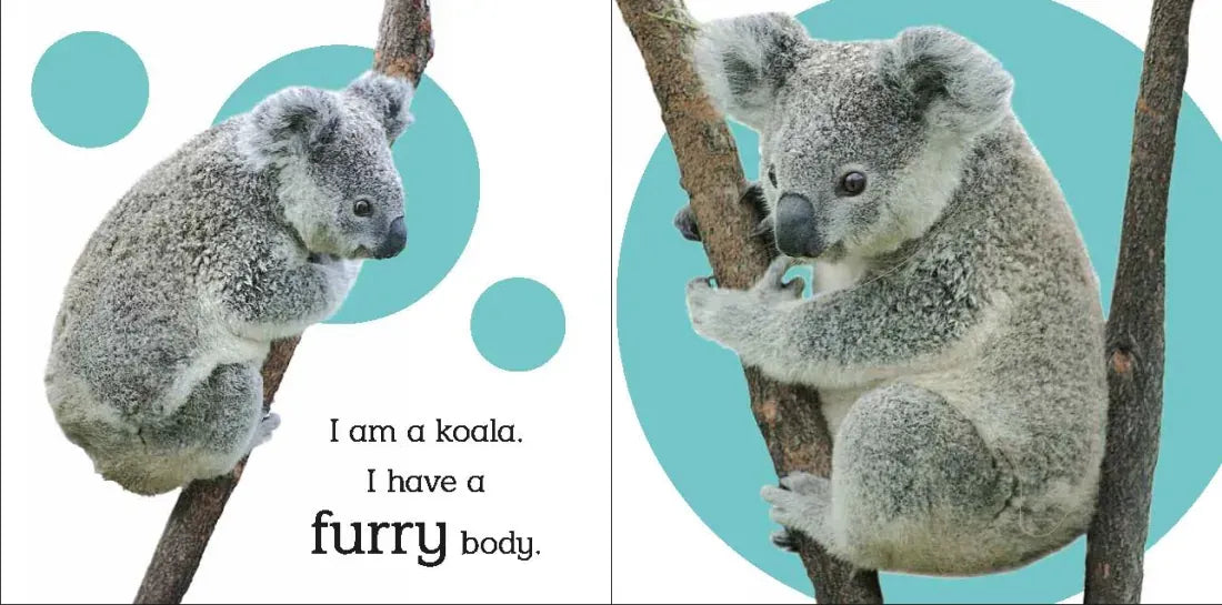Touch and Feel: Wild Animals US - Board book