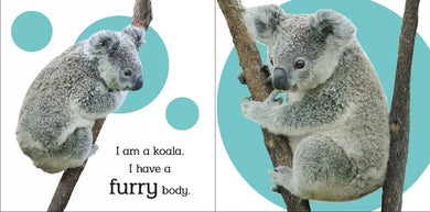 Touch and Feel: Wild Animals US - Board book
