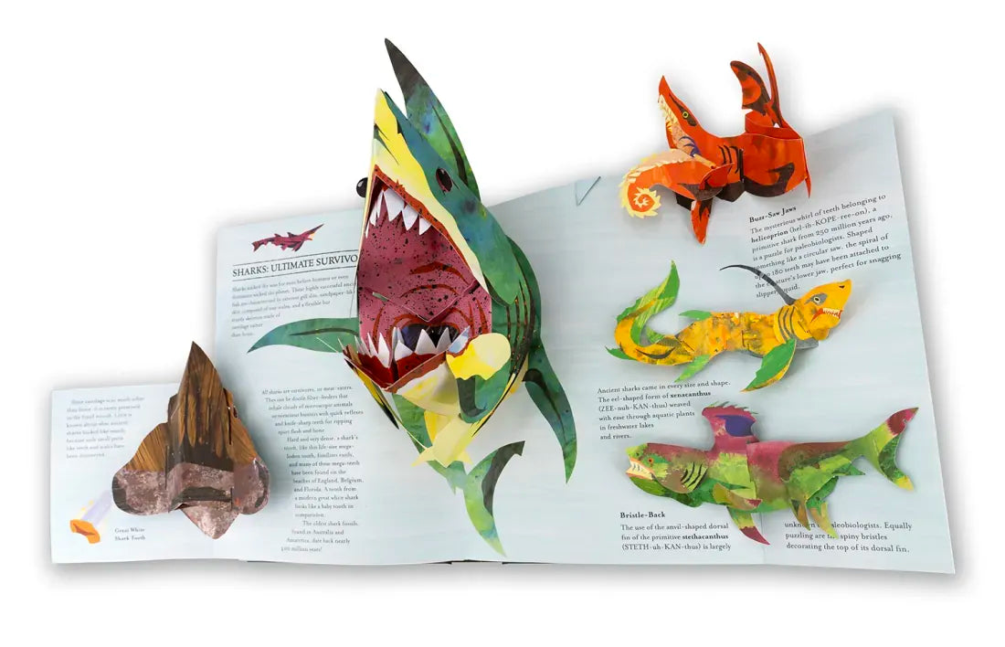 Encyclopedia Prehistorica Sharks and Other Sea Monsters Pop-Up US - Hardback