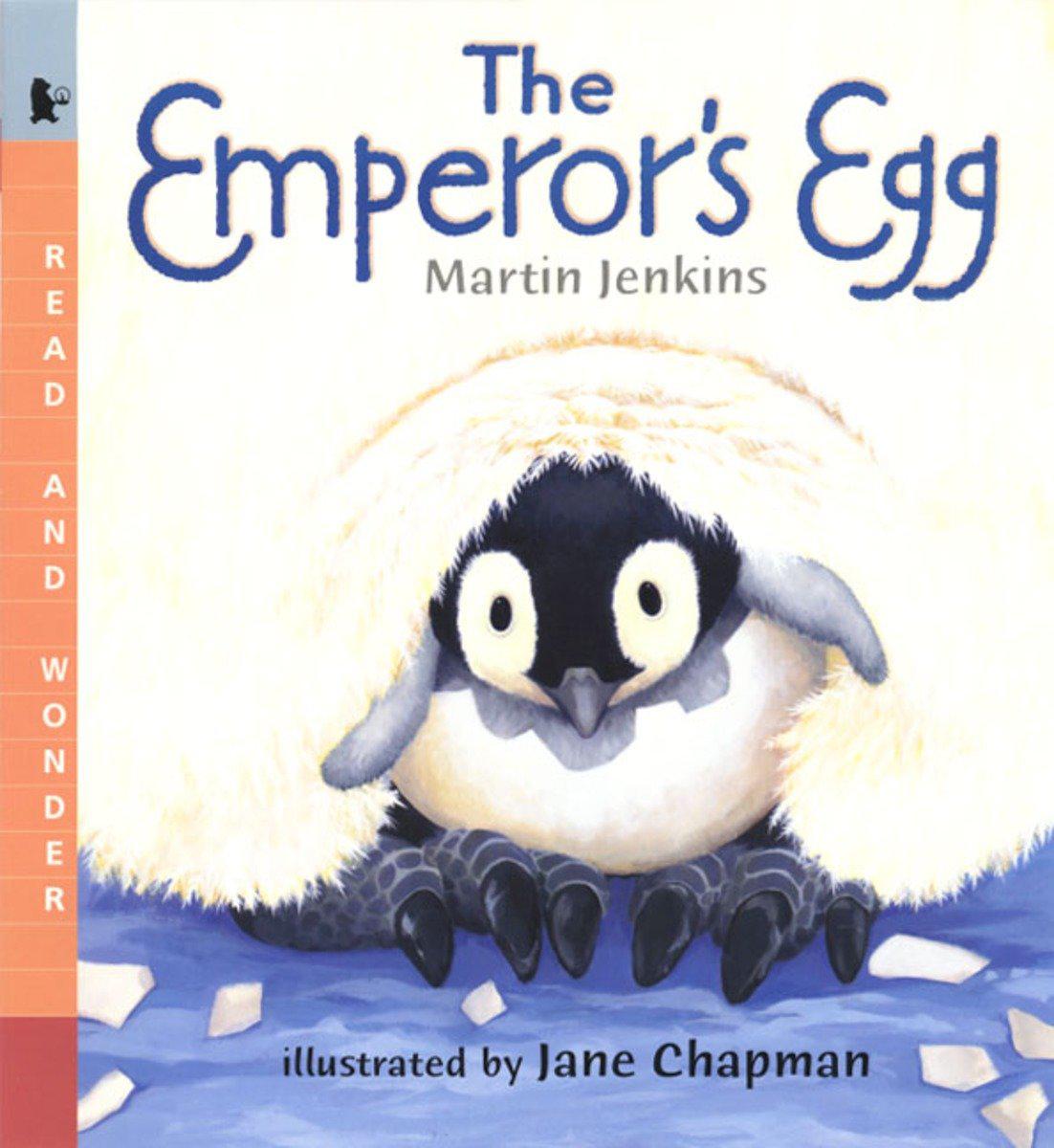 The Emperor's Egg Big Book-Children’s / Teenage general interest: Nature and animals-買書書 BuyBookBook