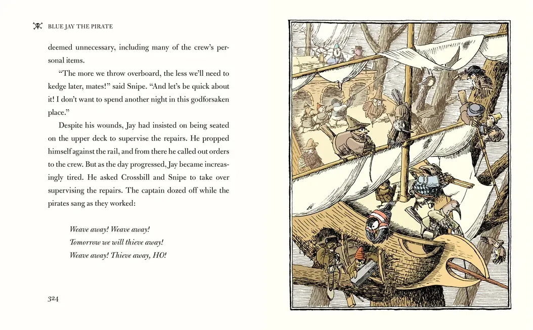 The High Skies Adventures of Blue Jay the Pirate US - Hardback