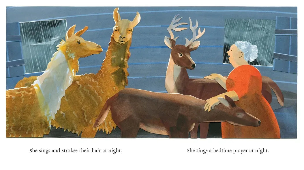 Naamah and the Ark at Night US - Hardback