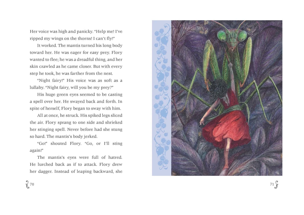 The Night Fairy US - Paperback / softback