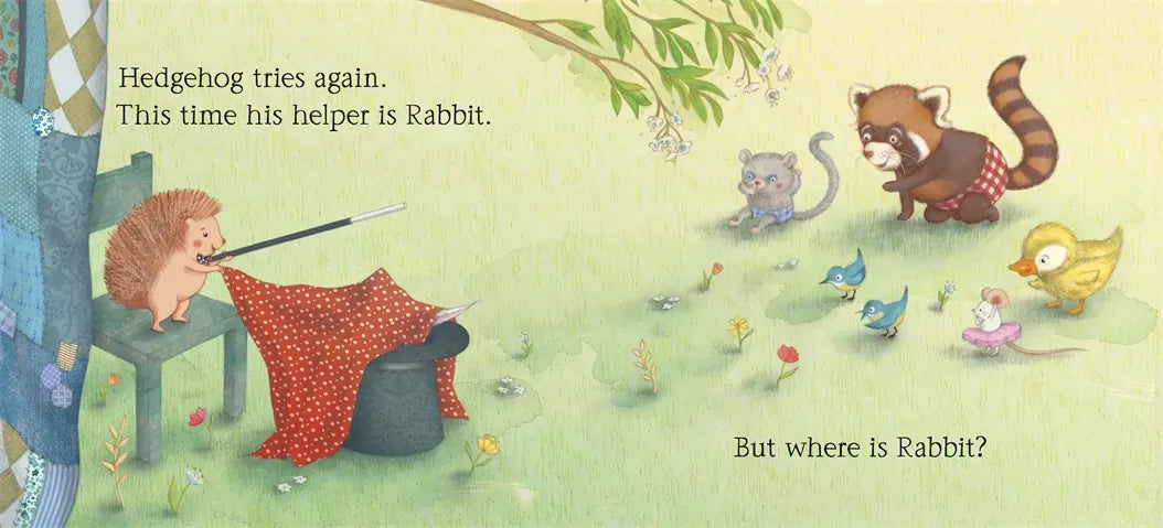 Hedgehog's Magic Tricks US - Hardback