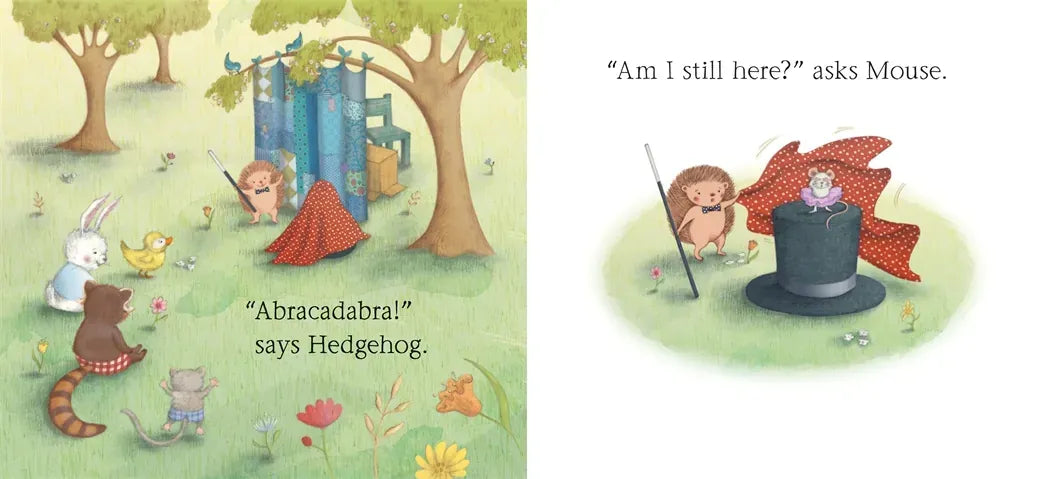 Hedgehog's Magic Tricks US - Hardback