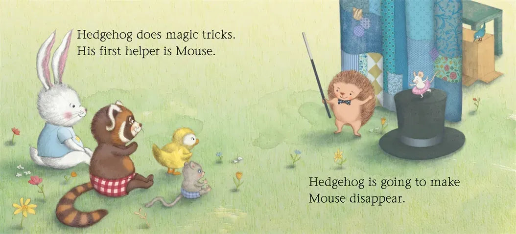 Hedgehog's Magic Tricks US - Hardback