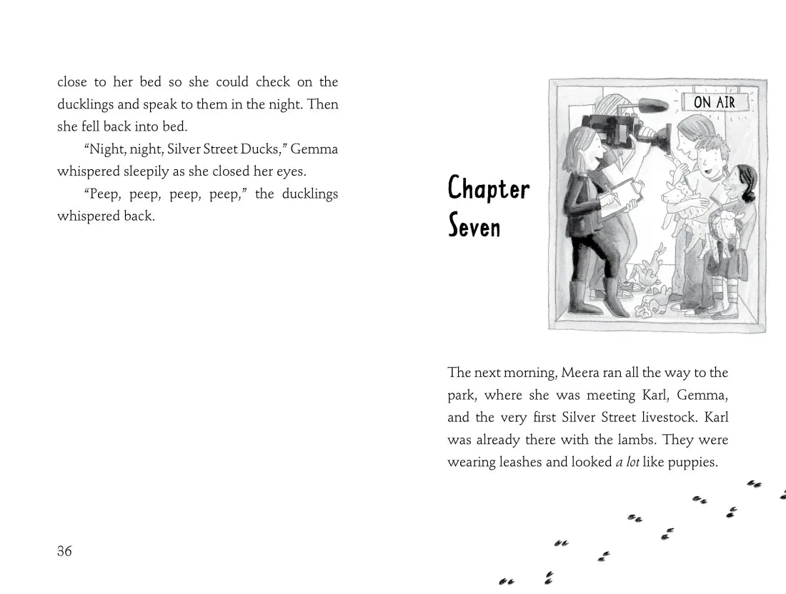 Welcome to Silver Street Farm US - Paperback / softback