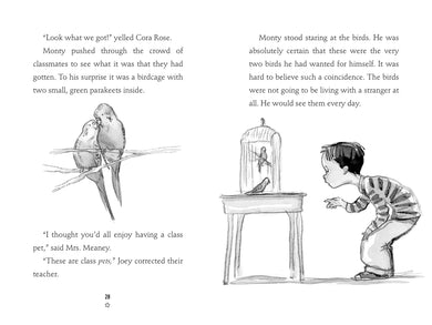 Amazing Monty US - Paperback / softback