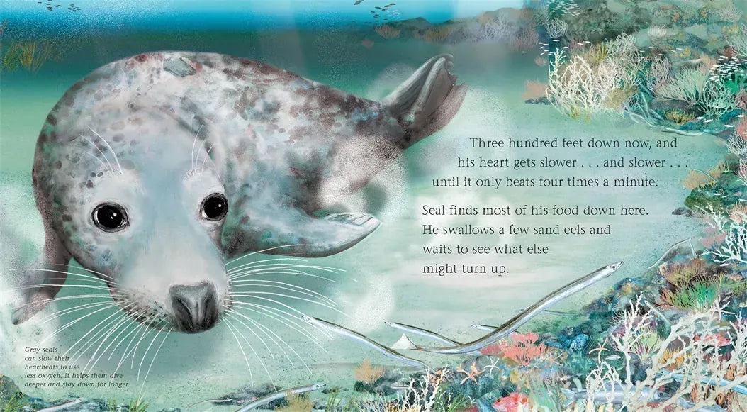 See What a Seal Can Do US - Hardback