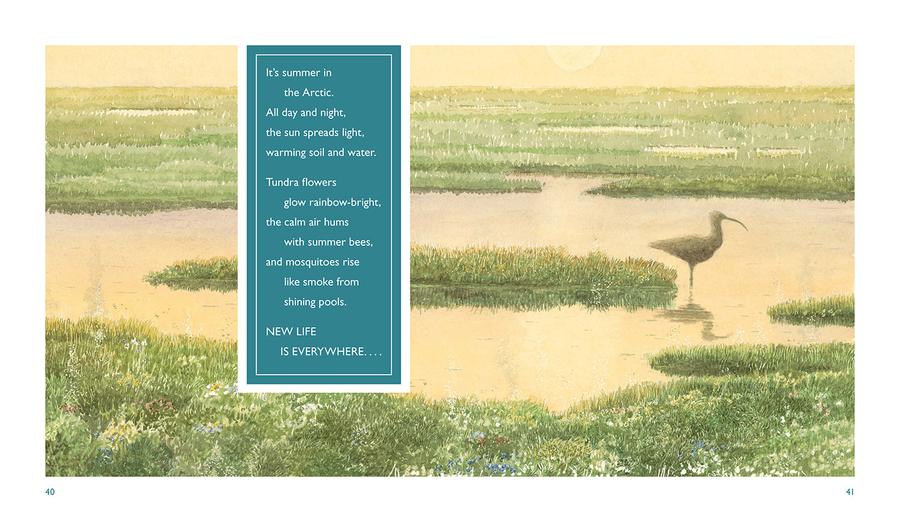 North US - Paperback / softback