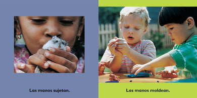Las manos interior 1 (ISBN 9780763673925)