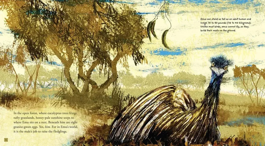 Emu US - Hardback