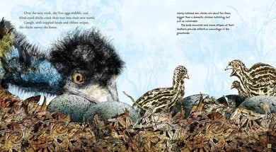 Emu US - Hardback