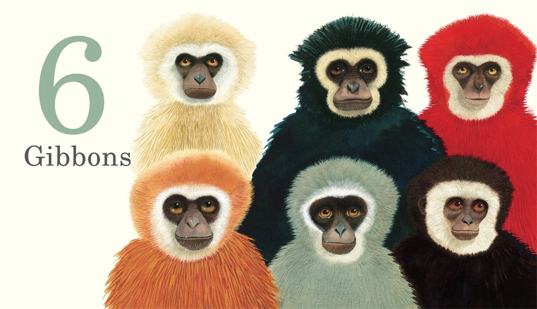 One Gorilla: A Counting Book US - Board book