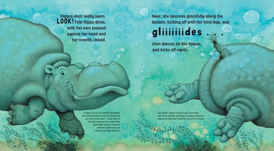 Hippos Are Huge! US - Paperback / softback