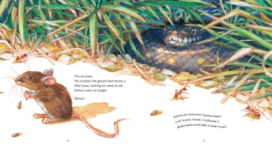 Python US - Paperback / softback