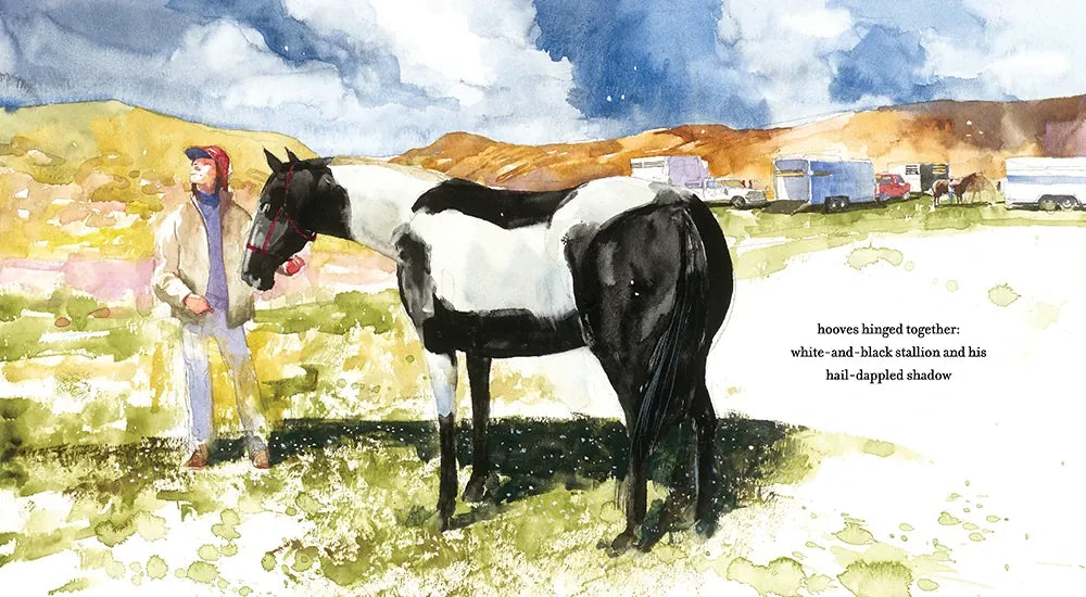 The Horse's Haiku US - Hardback