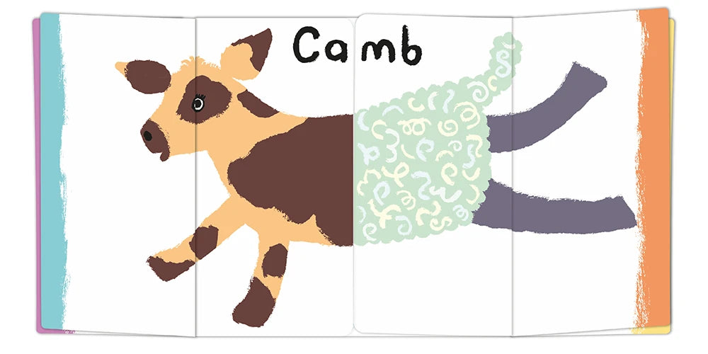 Picken US - Board book