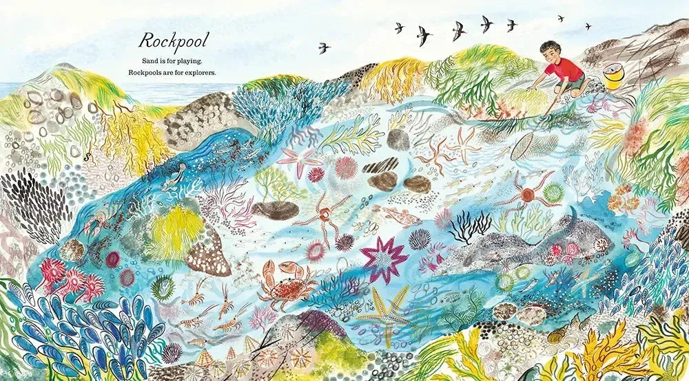 A First Book of the Sea US - Hardback