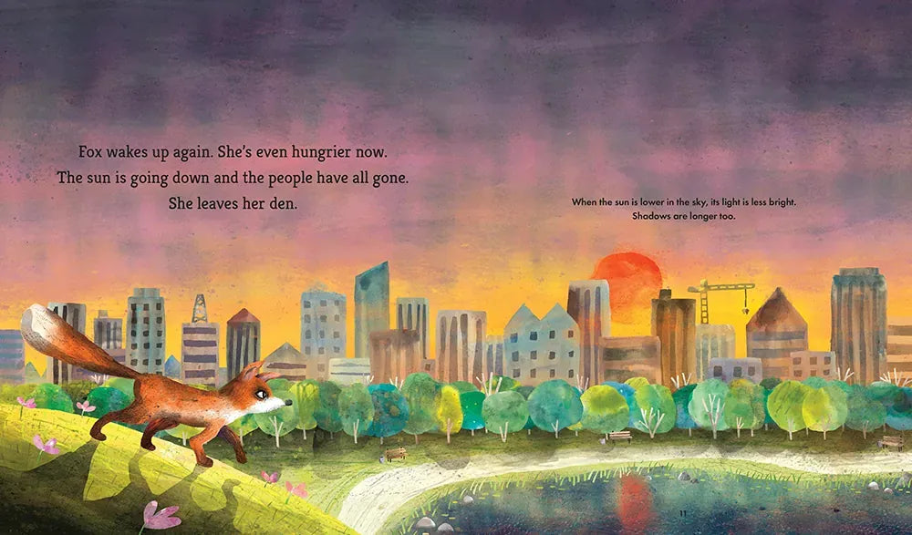 Fox Explores the Night: A First Science Storybook US - Hardback