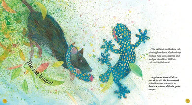 Gecko US - Hardback