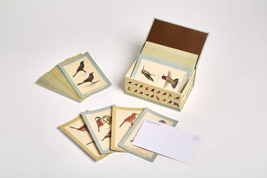 Sibley Backyard Birding Postcards US - Cards
