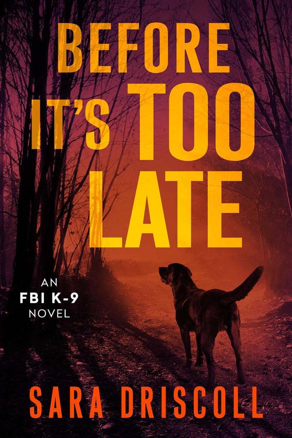 Before It's Too Late-Fiction: Thriller and horror-買書書 BuyBookBook