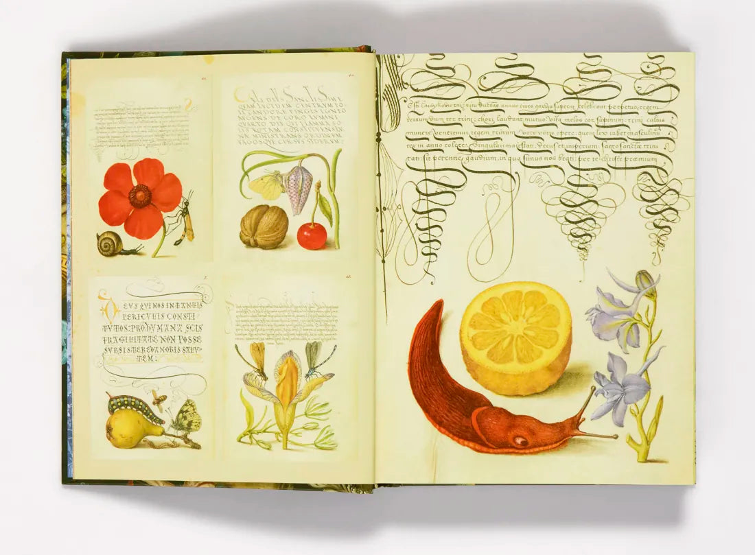 The Esoterica Sticker Book US - Hardback