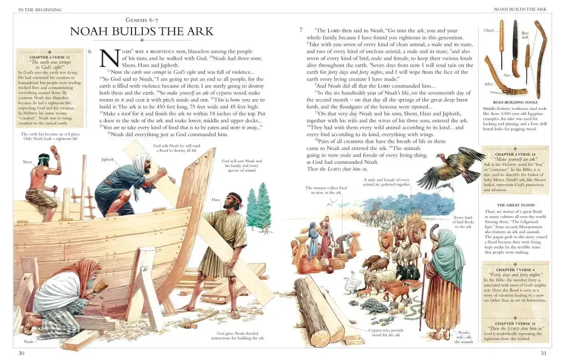 Illustrated Family Bible US - Hardback